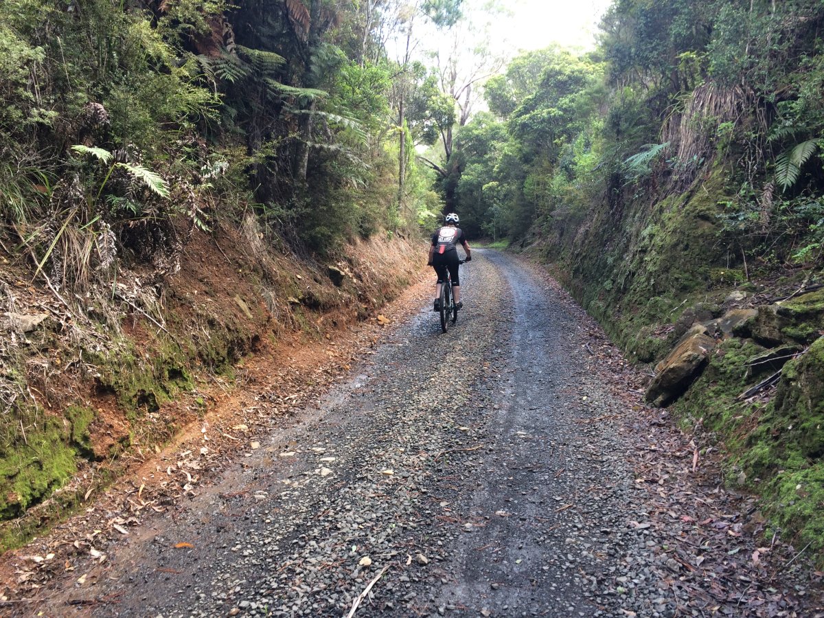 Kaihu Valley Trail Update 